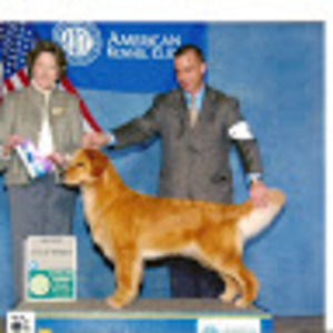 Meet your Posher, Sandi